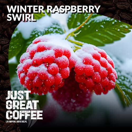 Winter Raspberry Swirl